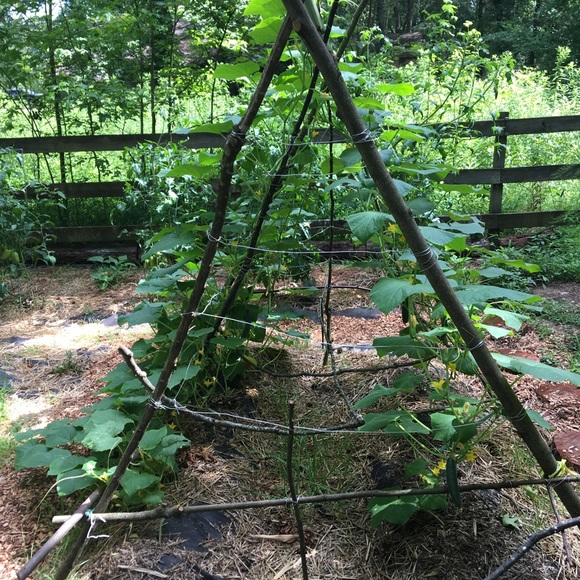 Meet your Posher, Janet - Picture 9 of 16